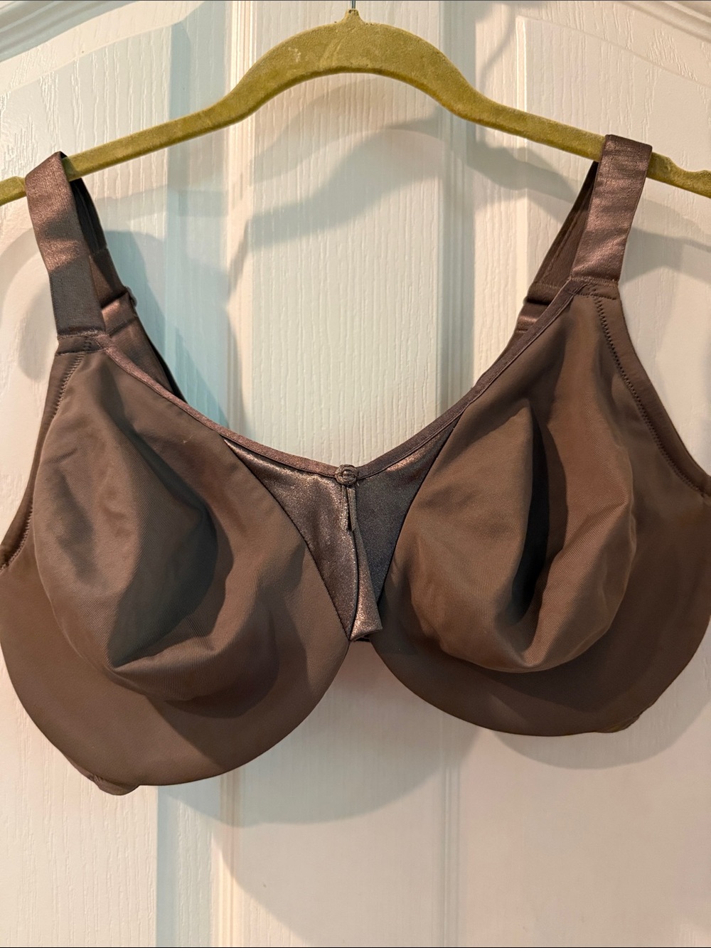 Olga Women's Full Coverage Brown Underwire Bra 38DD
